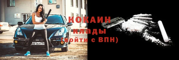 индика Заволжск