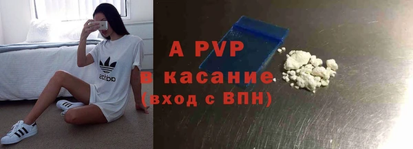 индика Заволжск