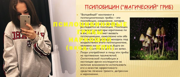 индика Заволжск
