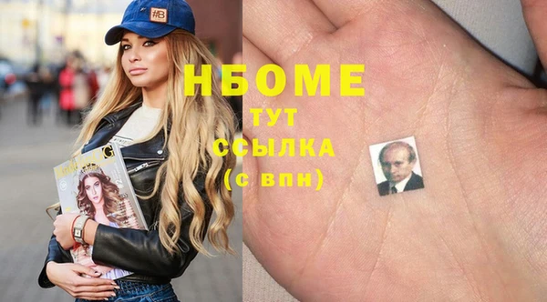 индика Заволжск