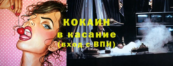 индика Заволжск