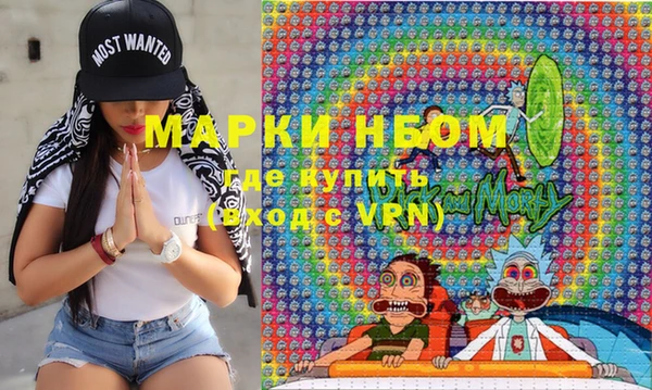 индика Заволжск