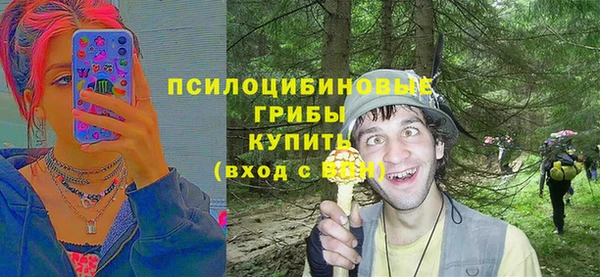 индика Заволжск